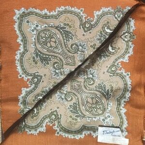 Vintage Paisley Fringe Scarf in Rust and Tan